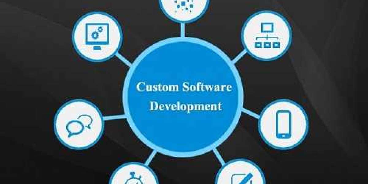 Custom Software Development Market | Global Report, 2032